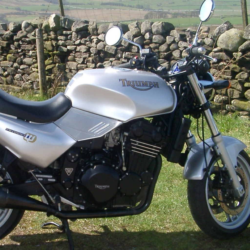 Triumph Quicksilver Paint Product